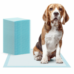 30x ARNOMED Welpen Unterlagen, Welpen Zubehör, 5-lagige Trainingspads für Hunde in 60x60cm, auslaufsichere Pipi Matten für Hunde, Puppy Pads absorbierend, Welpentoilette, Hundezubehör für kleine Hunde Angebot bei HelloDeals