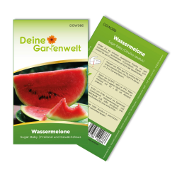 Wassermelonen Sugar Baby Samen - Citrullus lanatus - Wassermelonensamen - Obstsamen - Saatgut für 10 Pflanzen Angebot bei HelloDeals