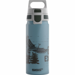 SIGG - Alu Trinkflasche Kinder - WMB ONE - Für Kohlensäurehaltige Getränke Geeignet - Auslaufsicher - Federleicht - BPA-frei - ClimatePartner Zertifiziert - Sport & Schule - 0,6L 1 Breave Eagle Angebot bei HelloDeals