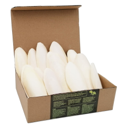 Sepia King Sepiaschalen Premium - Hochwertige Kalzium u. Vitaminversorgung, Nahrung, Futter für Reptilien, Schildkröten, Bartagamen, Vögel - Sepia Schalen Terrarium Zubehör - 12 Stück Angebot bei HelloDeals