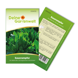Sauerampfer Mehrjährig Samen - Rumex acetosa - Sauerampfersamen - Gemüsesamen - Saatgut für 200 Pflanzen Angebot bei HelloDeals