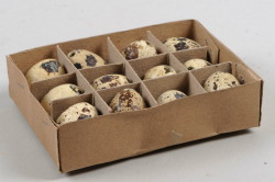 Streudeko Wachteleier 12 tlg. Osterdekoration Angebot bei HelloDeals