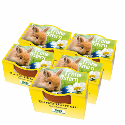 Bull & Bear 5er Set Mini Pflanzset 'Frohe Ostern' mit Blumensamen im Topf 4,5cm, Bunte Blumen als Anzuchtset mit Pflegeanleitung Angebot bei HelloDeals