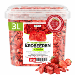 GEFRIERGETROCKNETE ERDBEEREN, 300g Früchte in Scheiben, 100% Trockenfrüchte natürlich und ohne Zusatz von Zucker oder Zusatzstoffen, Höchste Qualität von Detox Organica (300g) Angebot bei HelloDeals
