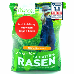 Rasensamen schnellkeimend Schattenrasen 2,5kg - 70m² Frühjahr | SEHR GUT getestet Angebot bei HelloDeals