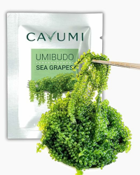 🌊 CAVUMI Sea Grapes 25g 🌿 | Algen Snack | Getrocknete Seetangperlen Angebot bei HelloDeals