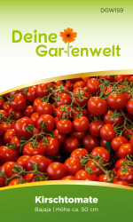 Kirschtomate Bajaja Samen - Solanum lycopersicum - Tomatensamen 🍅🌱 Angebot bei HelloDeals