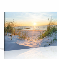 Visario 120 x 80 cm Bild auf Leinwand Dünen Nordsee Ostsee 5009 🖼️ Angebot bei HelloDeals