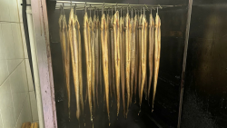 🐟 Frisch geräucherter Aal - 1kg Paket 🐟 Angebot bei HelloDeals