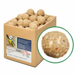 Paul´s Mühle Ganzjahresknödel mit Insekten und Trockenfrüchten 🐦🌻 Angebot bei HelloDeals