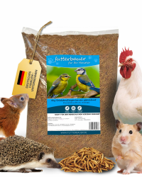 Angebot: 5kg Getrocknete Soldatenfliegenlarven - Premium Naturfutter für Tiere 🐦🦜🌿 Angebot bei HelloDeals