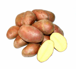 Angebot: Kartoffel Laura halbmehlig vorw. festkochend 🥔 Angebot bei HelloDeals