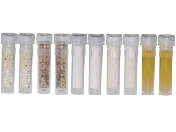 🐜🍲 Ameisen Food Mix Set - Standard 🍲🐜 Angebot bei HelloDeals