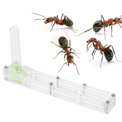 GOTOTOP Ameisenfarm aus Transparentem Acryl - Insektenparadies 🐜🏡 Angebot bei HelloDeals