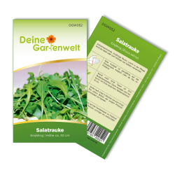 🌿 Salatrauke Einjährig Samen - Eruca sativa - Salatraukesamen - Gemüsesamen - Saatgut für 200 Pflanzen Angebot bei HelloDeals