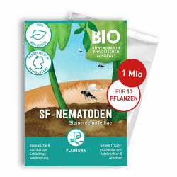 Plantura SF-Nematoden gegen Trauermücken - Hochwirksam & Biologisch 🌱 Angebot bei HelloDeals