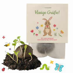 10x 'Hasige Grüße' Samenbomben als Mitgebsel Ostern 🐰🌱 Liebevoll handgefertigt und nachhaltig Angebot bei HelloDeals