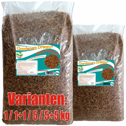 🌿 Gardeners Dream: Getrocknete Mehlwürmer in 5kg Abpackung! 🐦🐟🦔 Angebot bei HelloDeals