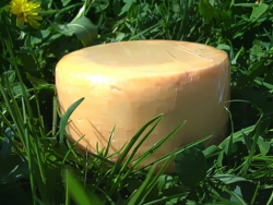 🧀🛒 Super Deal: Butterkäse aus Rohmilch ca. 700 gr. Neuhaushof 🛒🧀 Angebot bei HelloDeals