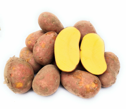 🥔🌟 Laura Kartoffeln aus Norddeutschland - Vorwiegend festkochend (2,5 Kg) Angebot bei HelloDeals