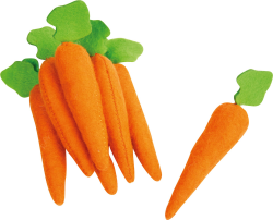 🥕 Kleine Filz-Möhren im 7-er Set - 4425 Natur Toys 🍊 Angebot bei HelloDeals