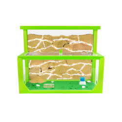 AntHouse - Natürliche Ameisenfarm aus Sand 3D | Modell L (Sandwich + Futterbox) Grün | Ant Farm | Inklusive Ameisenkolonie 🐜🏡 Angebot bei HelloDeals