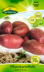 Quedlinburger 84018 Kartoffel Birgit (10 Stück) (Pflanzkartoffeln) Angebot bei HelloDeals