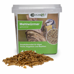 Carpline24 Getrocknete Mehlwürmer 1000 ml - Proteinreiche Insekten als Futter für Reptilien, Nager, Igel & Fische, Vogelfutter, Winterfutter Angebot bei HelloDeals