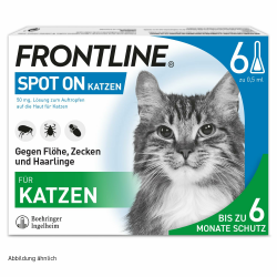 FRONTLINE Spot ON Katze gegen Zecken, Flöhe & Haarlinge (für Jede Größe & Gewicht) - 6X Pipetten für bis zu 6 Monate Schutz - wasserfest Angebot bei HelloDeals