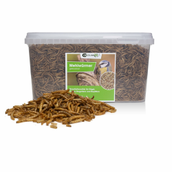 Getrocknete Mehlwürmer 1 kg - Proteinreiche Insekten als Futter für Reptilien, Nager, Igel & Fische, Vogelfutter, Winterfutter Angebot bei HelloDeals