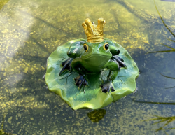 LB H&F Schwimmtier Frosch Teichfigur Froschkönig grün Blatt Miniteich Gartenteich Teich Deko (Frosch) Angebot bei HelloDeals