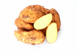 🥔🥗🍟 Kartoffeln Speisekartoffeln Annabelle 1-25 KG frische Ernte 2024 festkochend Salatkartoffel zum Grillen Angebot bei HelloDeals