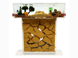 ANTHILLSHOP Natürliche Ameisenfarm aus Sand - Acryl T Kit 15x15x1,5cm 🐜🏞️ Angebot bei HelloDeals