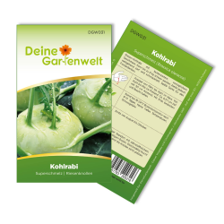 Angebot: Kohlrabi Superschmelz Samen - Gemüsesamen 🌱 Angebot bei HelloDeals