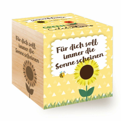🌻 Celebrations Ecocube - Sonnenblume Bio Samen - Holzwürfel Mit Lasergravur Angebot bei HelloDeals