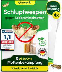 🦟🚫 Schlupfwespen gegen Lebensmittelmotten - Effektive Mottenbekämpfung! Angebot bei HelloDeals