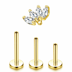 Gold & Silber Titan Helix Tragus Labret Lippenpiercing 🌟👄 Angebot bei HelloDeals