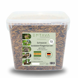 ENTAVA 10l Soldatenfliegenlarven getrocknet 🐛 Premium-Qualität Angebot bei HelloDeals
