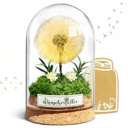 Ewige Pusteblume im Glas mit LED Lichtern 🌟 Angebot bei HelloDeals