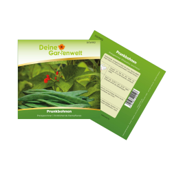 Prunkbohnen Feuerbohnen Preisgewinner Bohnen Samen - Gemüsesamen von Deine Gartenwelt 🌱🌱 Angebot bei HelloDeals