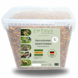 🦗🌿 ENTAVA 3l Nachhaltiger Insektenmix Getrocknet - Premium-Qualität! Angebot bei HelloDeals