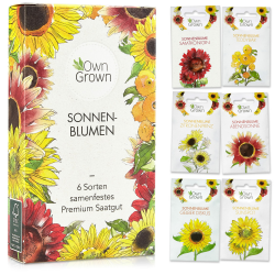 Sonnenblumen Samen Set - 6 Sorten - Blumen Geschenk Set 🌻🎁 Angebot bei HelloDeals