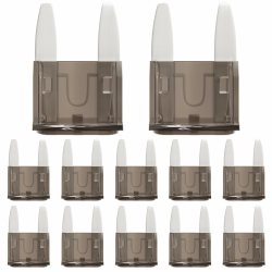 🚗 50 Stück 2A KFZ Sicherungen Mini 2Amp 🔒 Autosicherungen - Deal des Tages! 🎉 Angebot bei HelloDeals