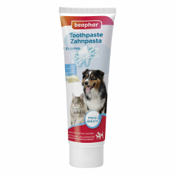🐶🐱 BEAPHAR Zahnpasta für Hunde und Katzen 🦷🌟 - Befreie Deinen Vierbeiner von Mundgeruch! Angebot bei HelloDeals