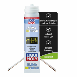 LIQUI MOLY Klimaanlagenreiniger Klima Refresh | Auto Erfrischer mit desinfizierenden Eigenschaften 🌬️🚗 Angebot bei HelloDeals