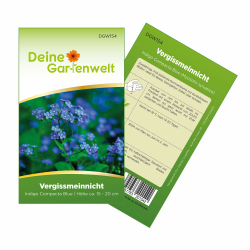 Vergissmeinnicht Indigo Compacta Blue Samen - Myosotis sylvatica - Angebot Angebot bei HelloDeals