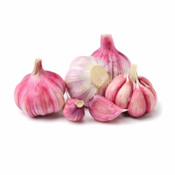 Violetter Knoblauch | Frischer Lila Knoblauch aus Spanien (5 Stück) 🌿🚚🌟 Angebot bei HelloDeals