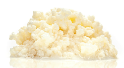 🥛🌿 Milchkefir & Tibetanische Kefirknollen 🌿🥛 Angebot bei HelloDeals