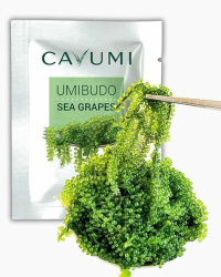 🌊🍇 CAVUMI Sea Grapes 25gr 🍇🌊 Angebot bei HelloDeals