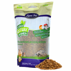Lyra Pet® | 5 kg Soldatenfliegenlarven getrocknet 🐛 | Black Soldier Fly | Hermetia Illucens Angebot bei HelloDeals